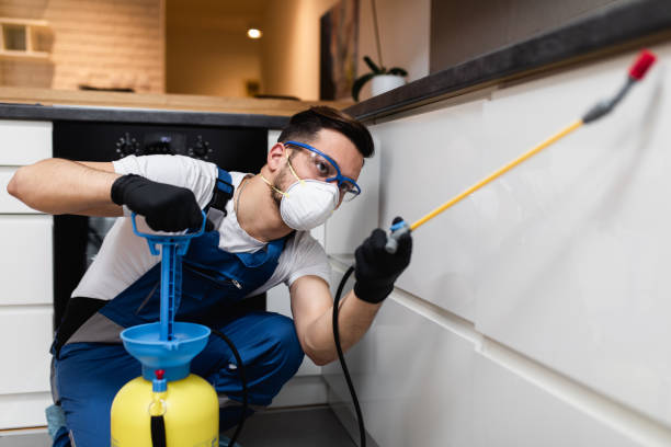 Best Emergency Pest Control  in Boonsboro, MD