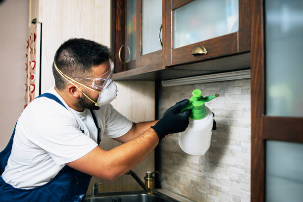 Best Local Pest Control Services  in Boonsboro, MD