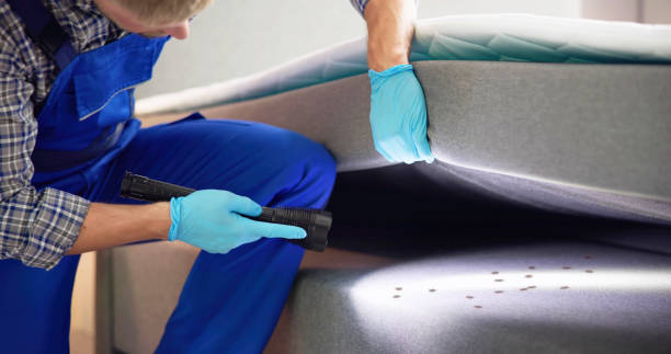 Best Rat Extermination Near Me  in Boonsboro, MD